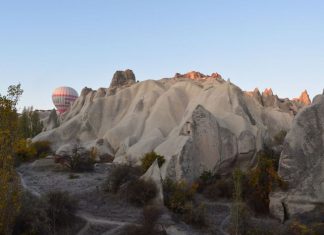 Inaction of Turkish Authorities