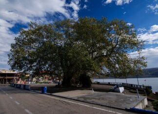 Protestant Worship in Constantinople