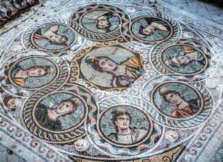 Olive Oil Irrigation and Traditional Greek Life