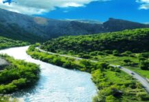 Suspicion and the Fall of a Turkish Governor